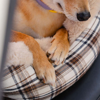Plüsch-Autositz für Haustiere – RideSafe CozySeat