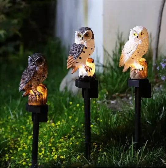 Drei leuchtende Eulen in Braun, Braun-Weiß und Weiß, abends auf einer Wiese mit kleinen gelben Blüten aufgestellt. 8