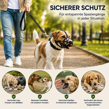 Kleiner Hund mit Maulkorb im Park, Detail