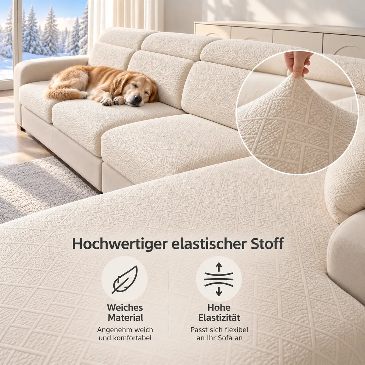 Cremefarbener Bezug mit Hund auf dem Sofa, Detailausschnitt zeigt die elastische, weiche Stoffstruktur 3