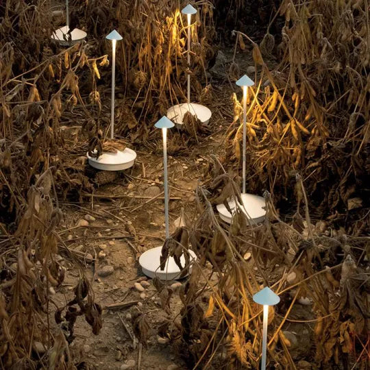 Mehrere weiße Lampen leuchten zwischen trockenen Pflanzen auf dem Boden im Freien 12