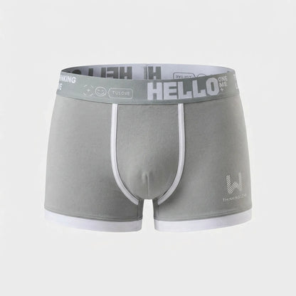 Fitted Boxer Brief With Waistband Branding (8-Pack) -  Shaun