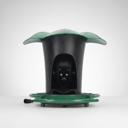 Kamera Integriertes Gartendekor - BirdGuardPro