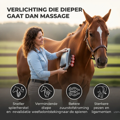 Rotlicht-Massagegerät an der Flanke eines braunen Pferdes