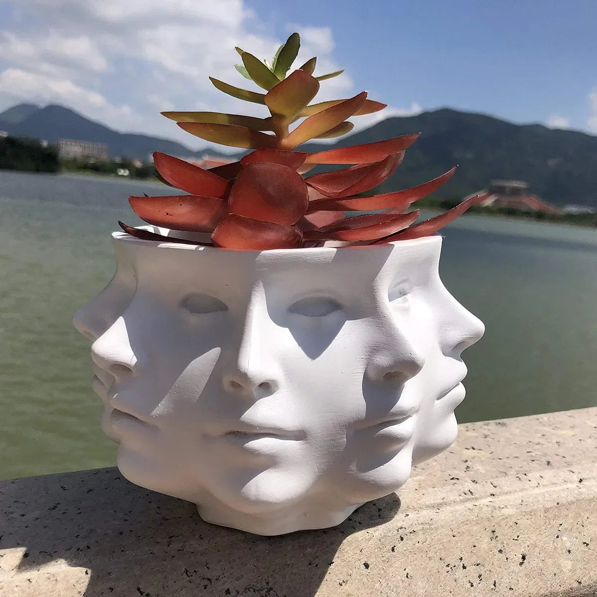 Weiße Gesichts-Blumentopf mit Sukkulente, Keramik, modern, dekorativ, draußen am See.