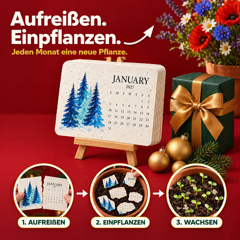Infografik: Kalenderblatt wird aufgerissen, in Erde gepflanzt und wächst zu Keimlingen, daneben Januarblatt, Geschenk und 1