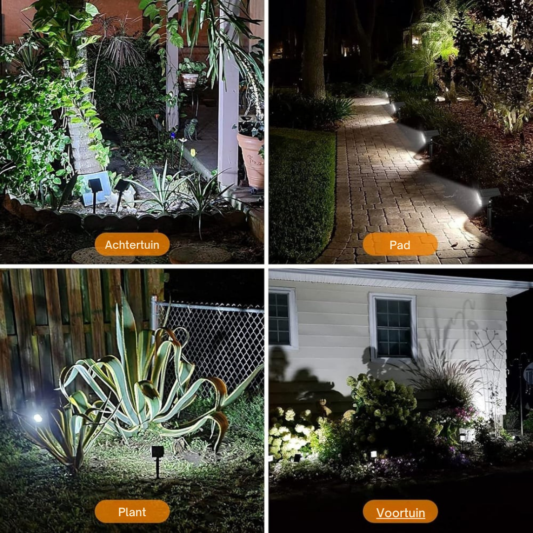 Vier Anwendungsbeispiele mit kaltweißem Licht bei Nacht: Strahler im Garten, am Weg, an einer Pflanze und im Vorgarten.