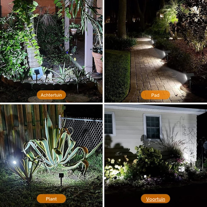 Vier Anwendungsbeispiele mit kaltweißem Licht bei Nacht: Strahler im Garten, am Weg, an einer Pflanze und im Vorgarten.
