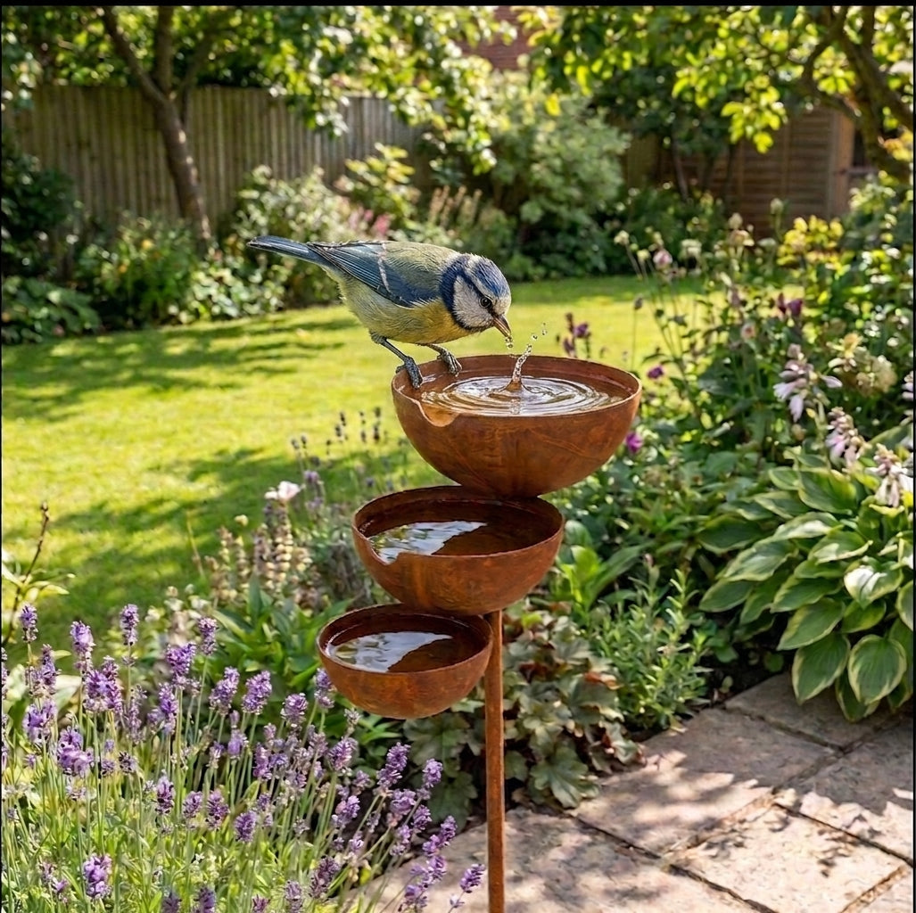 Eine Blaumeise trinkt aus der obersten Schale, davor blüht Lavendel in sonnigem Garten 5