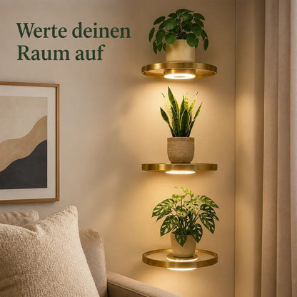 Drei runde goldfarbene Wandregale mit warmem Licht untereinander in einer Zimmerecke, bestückt mit Zimmerpflanzen, daneben Sofa und gerahmtes Bild. 1