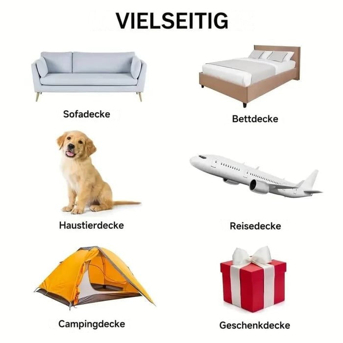 Infografik mit Symbolbildern für Sofa, Bett, Haustier, Reise, Camping und Geschenk 8
