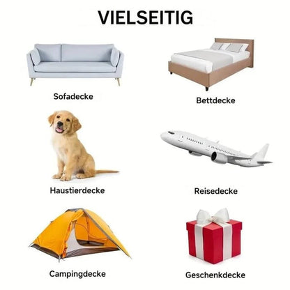 Infografik mit Symbolbildern für Sofa, Bett, Haustier, Reise, Camping und Geschenk 8