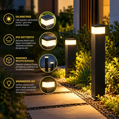 Infografik mit Wegeleuchten am Gartenweg und vier Detailkreisen zu Solarbetrieb, Wetterschutz, rechteckigem Design und warmweißem LED-Licht. 3