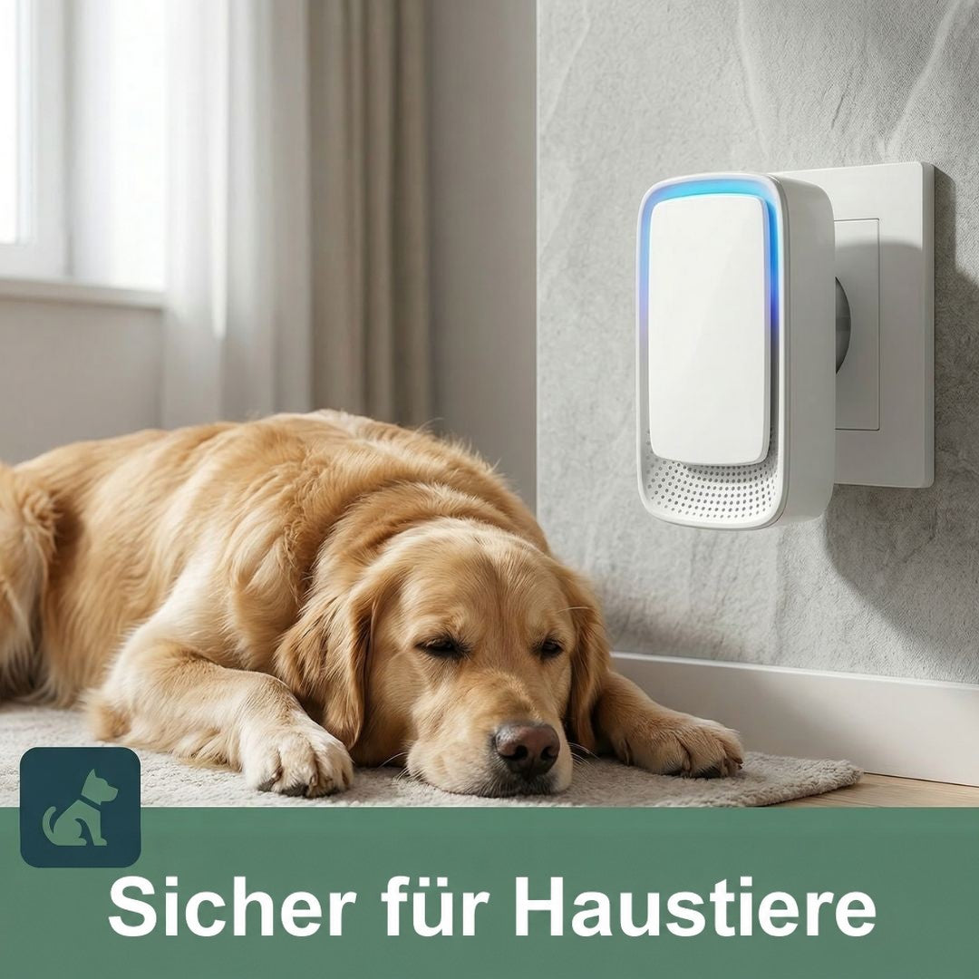 Das Gerät steckt in einer Wandsteckdose, davor liegt entspannt ein schlafender Golden Retriever 2
