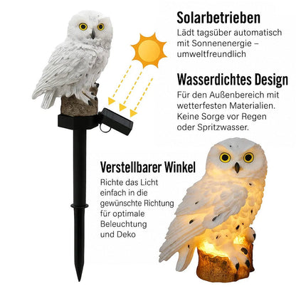 Freigestellte weiße Eule mit Erdspieß und schwenkbarem Solarpanel, Sonnenstrahlen als Pfeile, daneben die Eule warm leuchtend in Nahansicht. 3