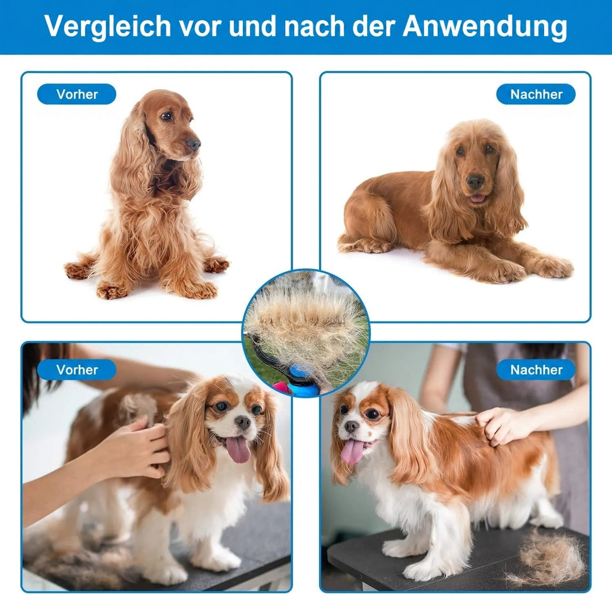 Vorher-Nachher-Vergleich von zwei Hunden, einem Cocker Spaniel und einem Cavalier King Charles Spaniel, mit Büschel gelöster Haare auf dem Tisch. 6