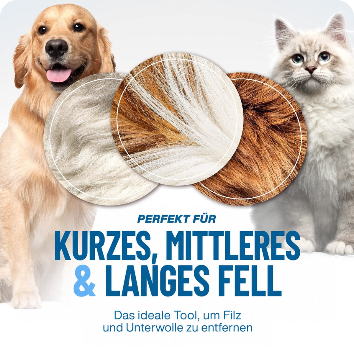 Golden Retriever und Langhaarkatze neben drei Fellausschnitten, die kurzes, mittellanges und langes Fell zeigen. 5