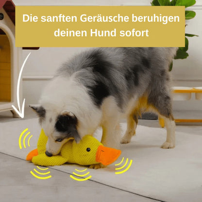 Collie-Mischling beschnuppert und packt die gelbe Plüschente auf einem Teppich, Schallwellen deuten leises Quaken an 5