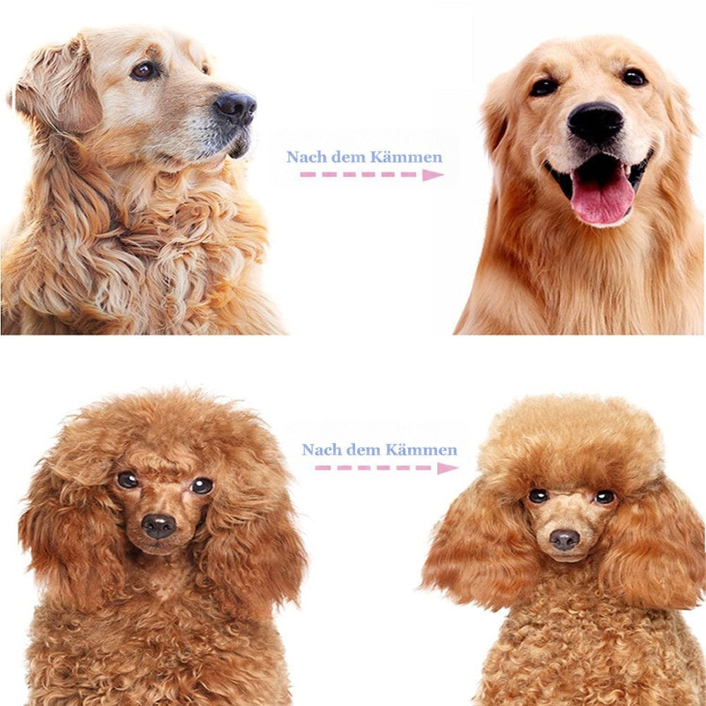 Vorher-Nachher-Vergleich nach dem Kämmen: ein verfilzter und ein glatter Golden Retriever, darunter ein Pudel mit zerzaustem und gepflegtem Fell. 7