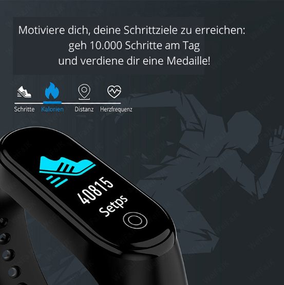 Nahaufnahme des Displays mit Schuh-Symbol und Schrittzahl, daneben Symbole für Schritte, Kalorien, Distanz und Herzfrequenz 4