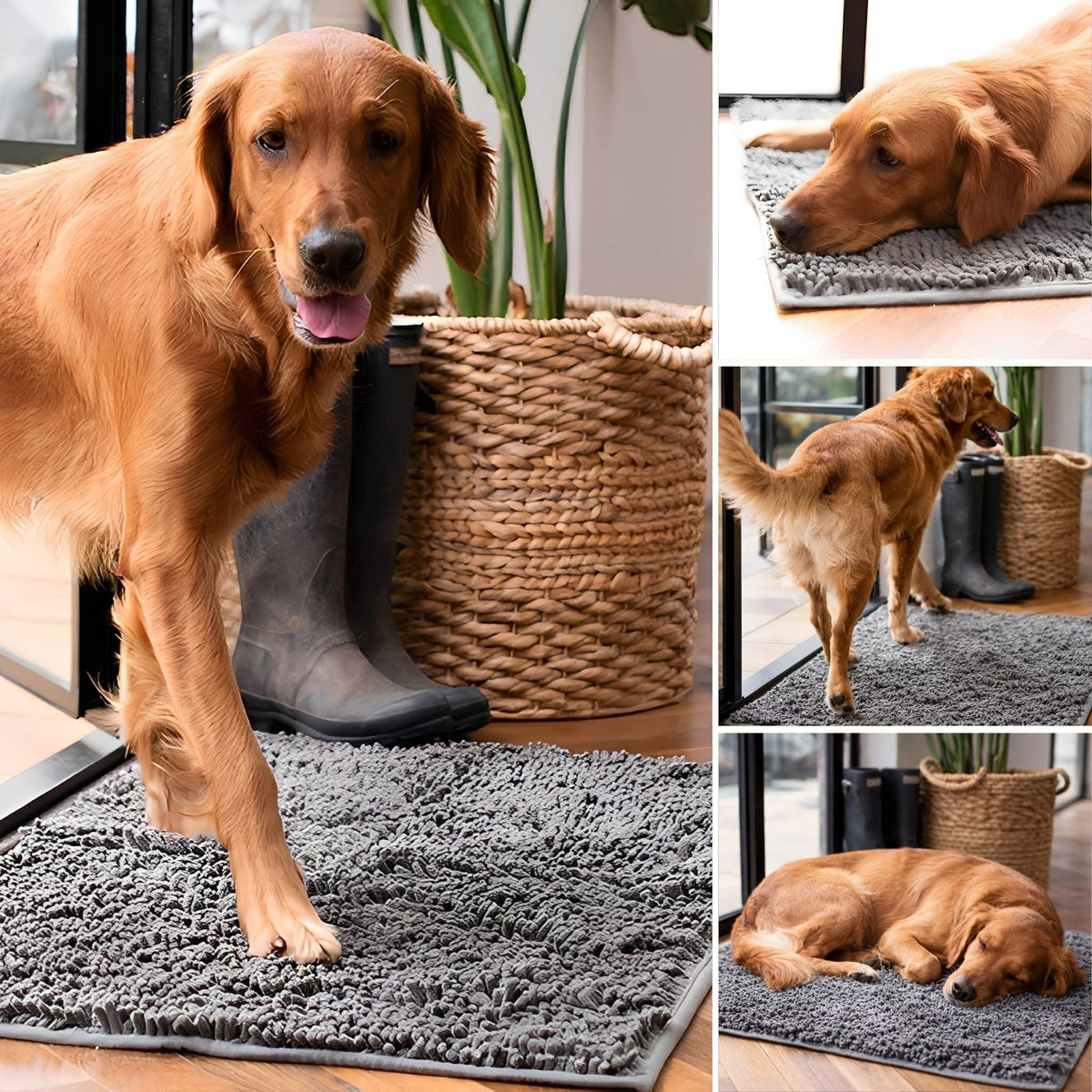 Graue Hundetürmatte aus Polyester mit Hund am Eingang, beim Liegen und Schlafen.