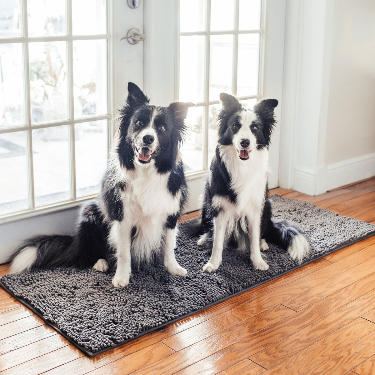 Graue Hundetürmatte aus Polyester mit zwei Border Collies vor einer Glastür auf Holzboden.