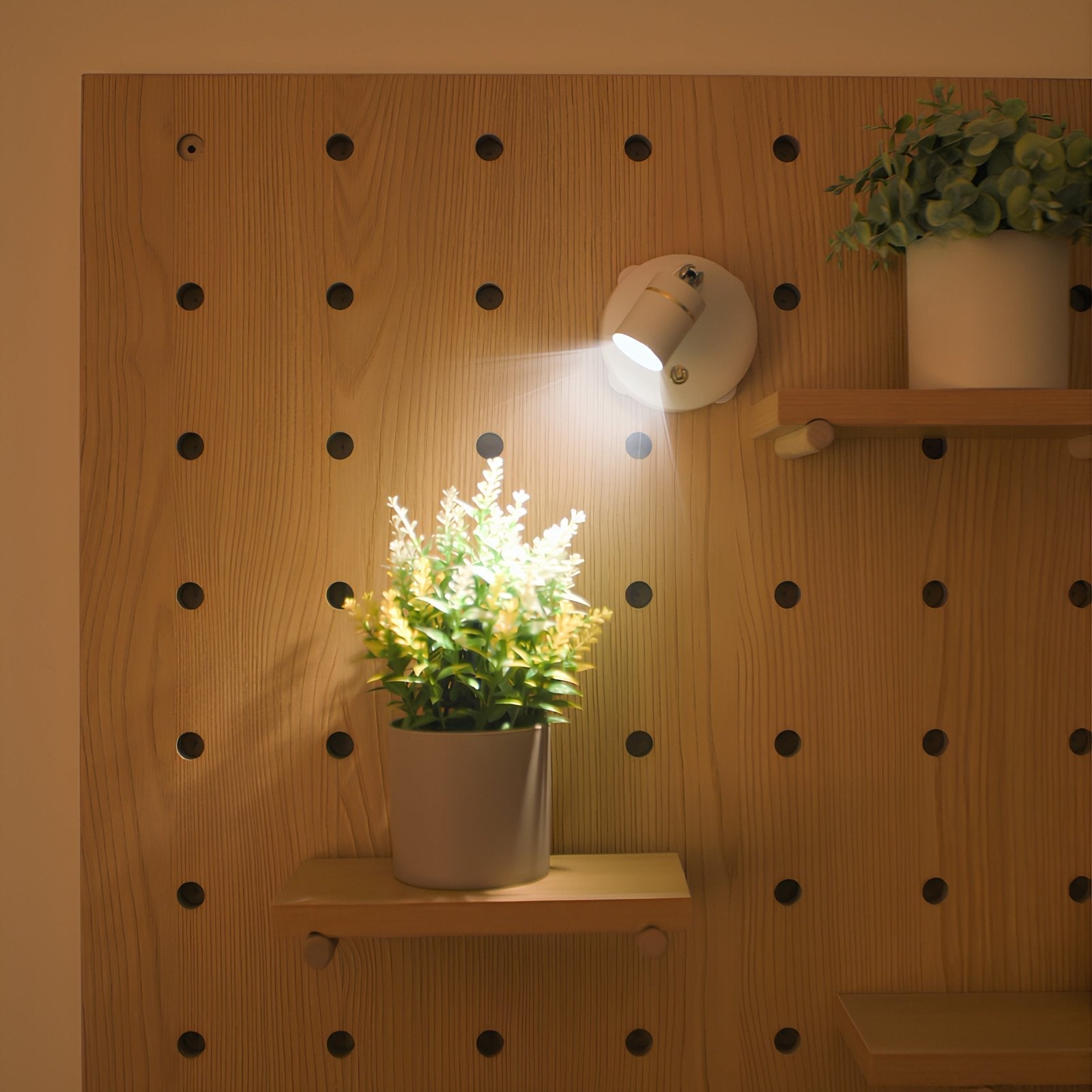 Wandleuchte LED Spotlight beleuchtet Pflanze auf Holzregal, modernes Innendesign, energiesparend.