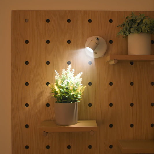 Wandleuchte LED Spotlight beleuchtet Pflanze auf Holzregal, modernes Innendesign, energiesparend.
