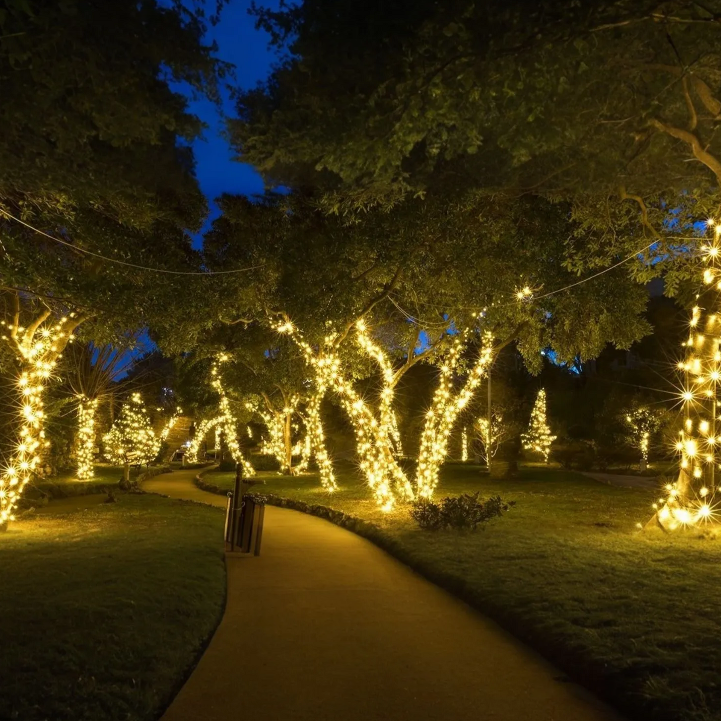 Beleuchteter Gartenweg mit Bäumen, dekoriert mit warmweißen Lichterketten bei Nacht.