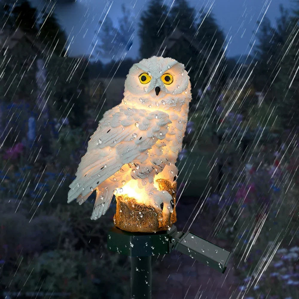Leuchtende weiße Eule im Regen mit Wassertropfen auf dem Gefieder.