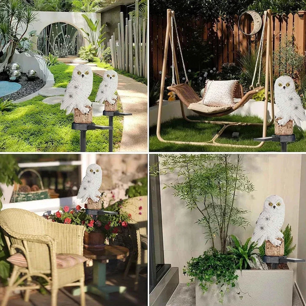 Vier Einrichtungsbeispiele mit weißer Eule am Gartenweg, neben einer Hängeschaukel, auf der Terrasse und am Pflanzkübel.