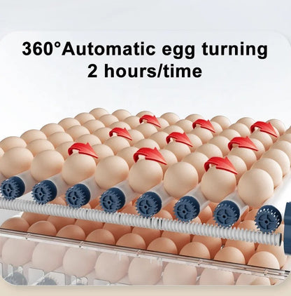 Automatische Brutmaschine – HatchEase