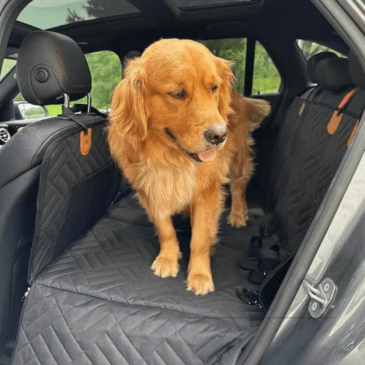Goldener Retriever auf der schwarzen gesteppten Rücksitzauflage im Auto mit Seitenwänden und orangefarbenen Laschen.