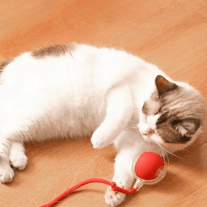 Weiß-braune Katze hält den roten Ball am Seil auf dem Holzboden fest.