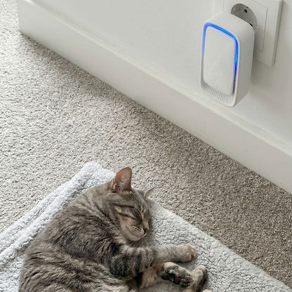 Eine graue Katze schläft auf einer Decke unter dem eingesteckten Gerät mit blauem Leuchtrand 4