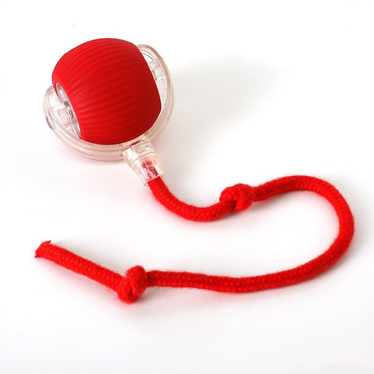 Roter gerippter Ball im transparenten Rahmen mit rotem, zweifach geknotetem Seil auf weißem Hintergrund.