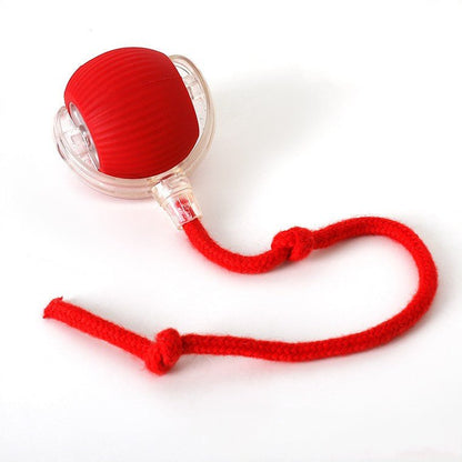 Roter gerippter Ball im transparenten Rahmen mit rotem, zweifach geknotetem Seil auf weißem Hintergrund.