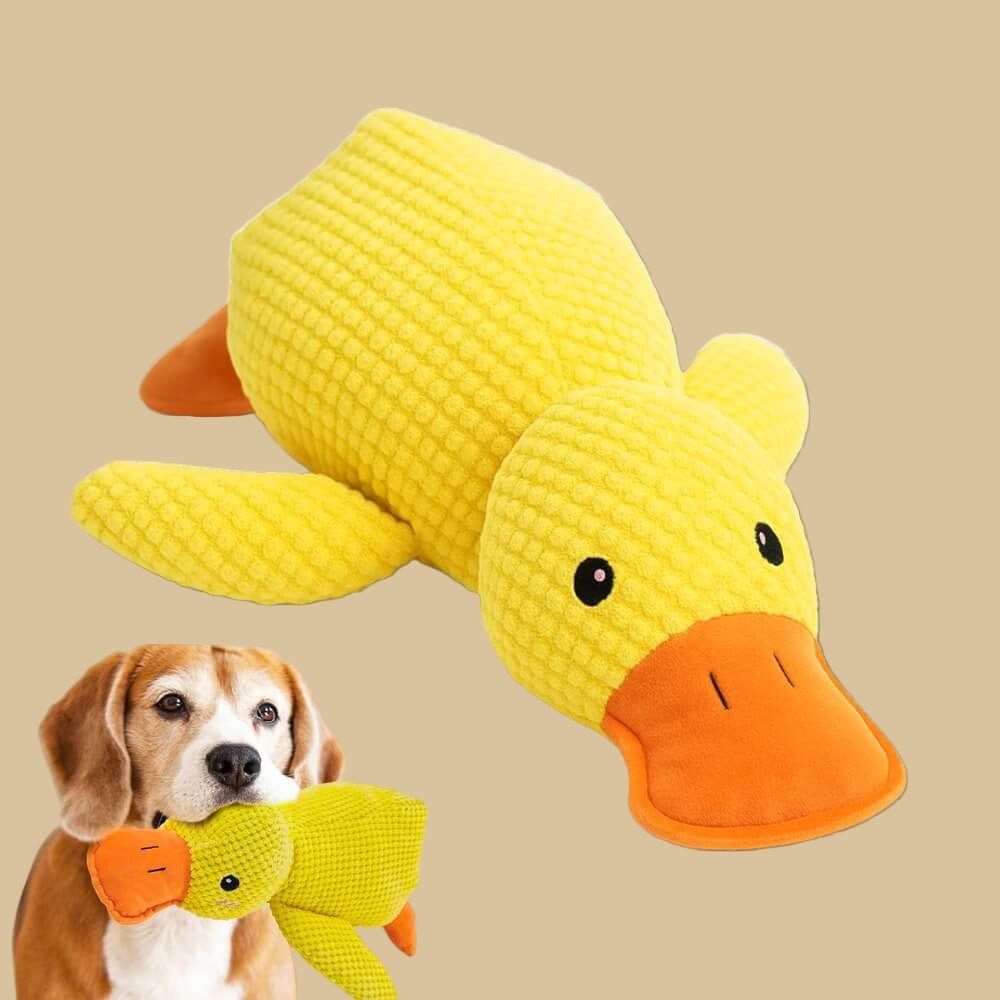 Freigestellte gelbe Plüschente von schräg vorn, unten links ein Beagle mit einer Ente im Maul 3