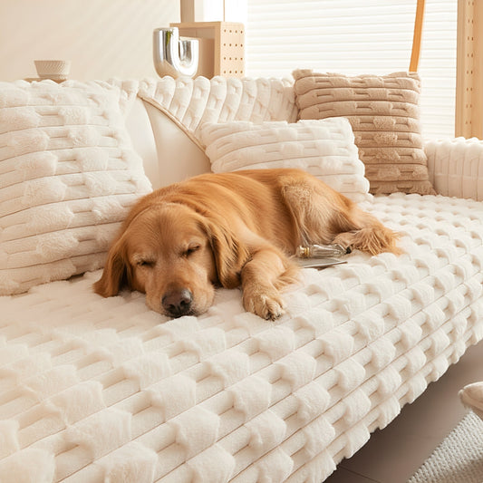 Ein goldfarbener Hund schläft entspannt auf dem cremeweißen, flauschigen Sofabezug mit Struktur, daneben passende Kissen im Wohnzimmer. 1