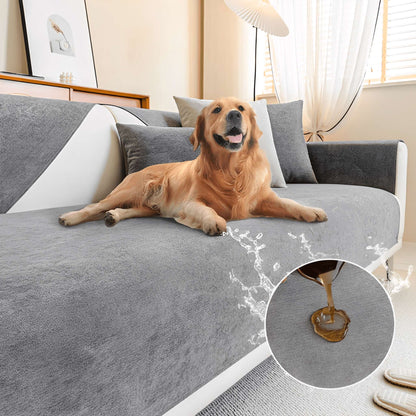 Grauer Sofaschutz mit Golden Retriever, vorne Wasser, das auf dem Bezug abperlt.