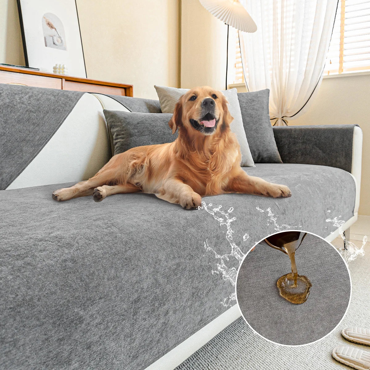 Golden Retriever auf dem Sofa mit grauer Auflage und Flüssigkeit auf dem Stoff, another view.
