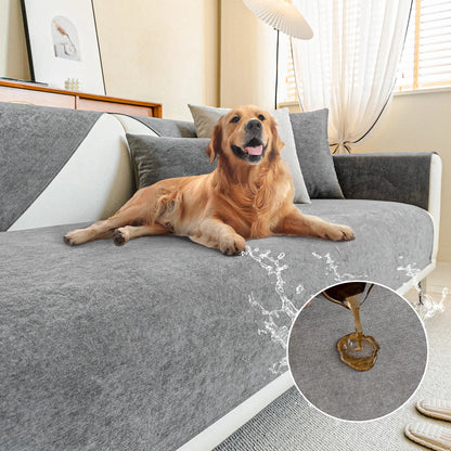 Golden Retriever auf dem Sofa mit grauer Auflage und Flüssigkeit auf dem Stoff, another view.
