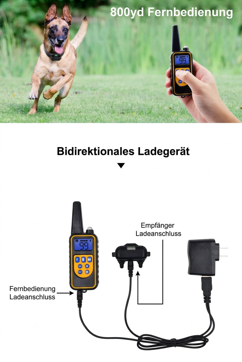 Schäferhund läuft mit Halsband über eine Wiese, darunter das Ladegerät für Fernbedienung und Empfänger 5