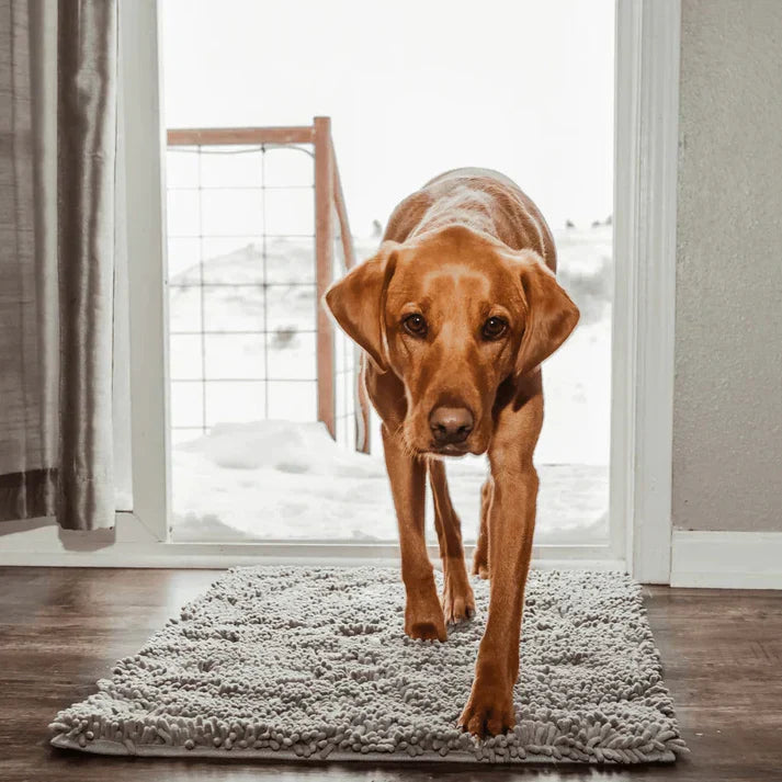 Super absobierende Hundematte – PawMat
